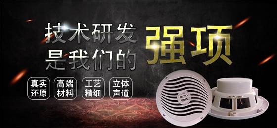 6.5寸PP盆/橡胶边稀土高强磁25.5芯60W全频船用音箱喇叭