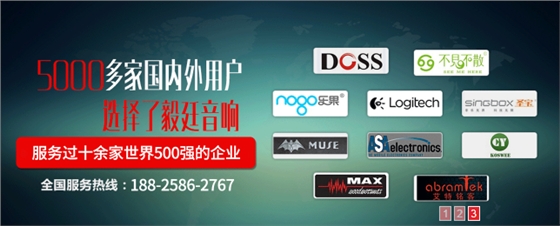DS扬声器公司4.png