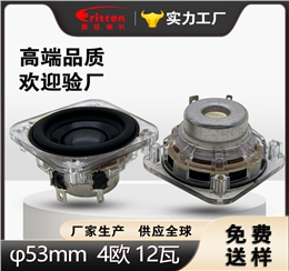 53mm 4Ω 3W 小功率全频喇叭 高性价比音频单元
