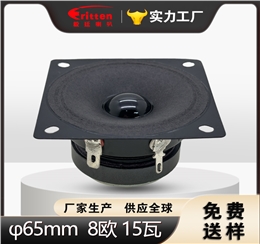 2.5 英寸方形扬声器 65×65mm 8Ω15W 纸盆全频喇叭 | 毅廷音响