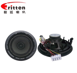 8寸25芯20瓦全频喇叭