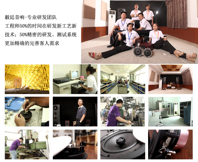 78mm20W25芯全频蓝牙音箱喇叭研发团队 78mm20W25芯全频蓝牙音箱喇叭研发团队